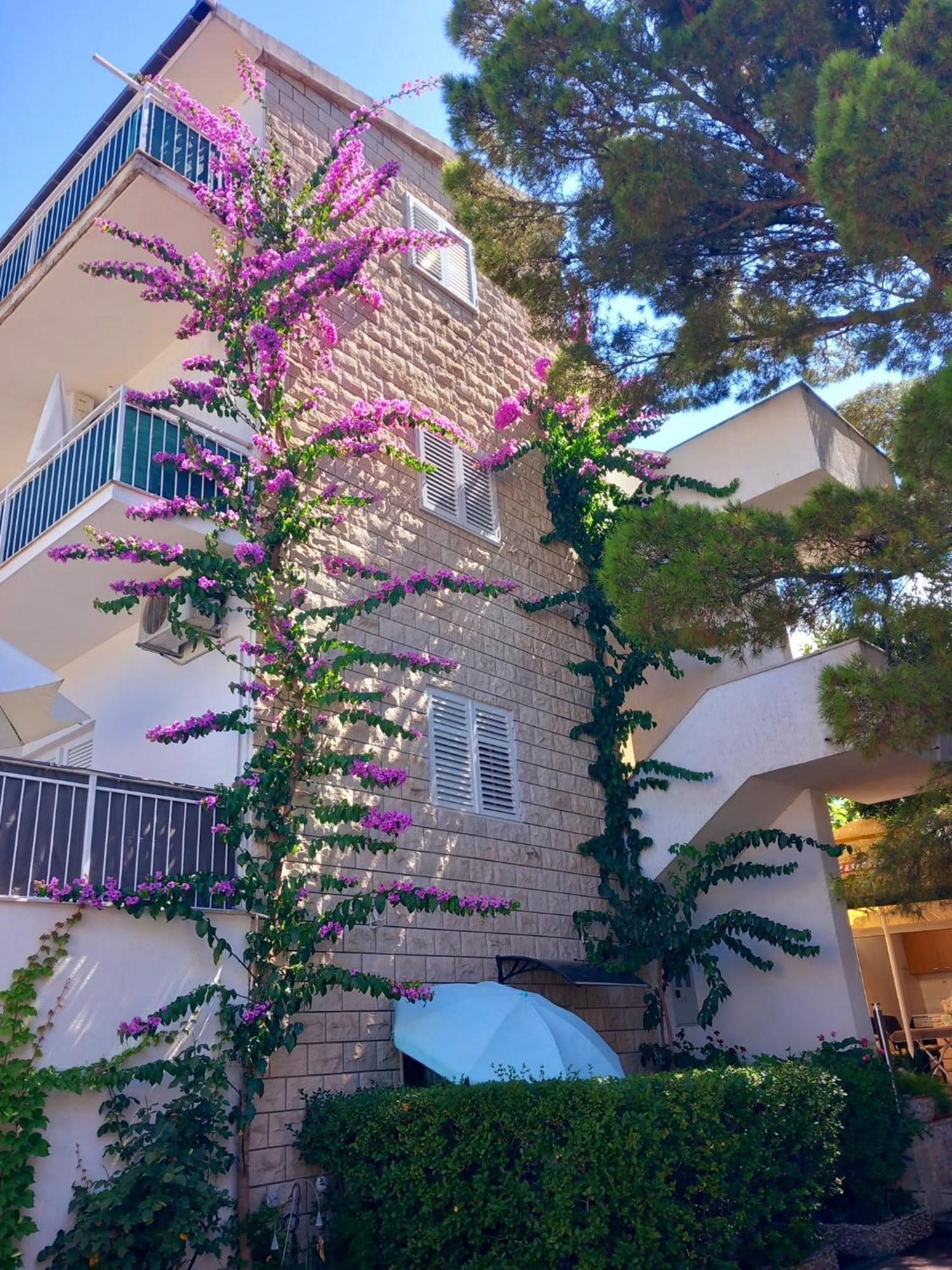 Apartmani Omrcen Baška Voda Екстериор снимка